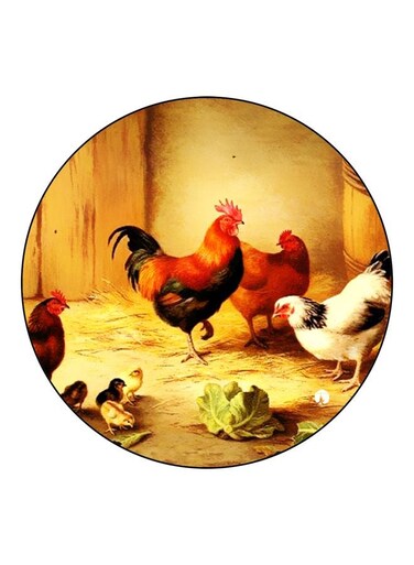 Rooster Printed Fridge Magnet Brown/Red/Black 5.5cm