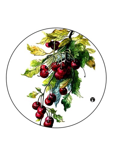 Food Printed Fridge Magnet Round Multicolour