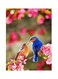 Bird And Floral Themed Metallic Plate Green/Pink/Blue 20x15cm