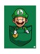 Video Game Super Mario Metal Plate Poster Multicolour 15x20centimeter