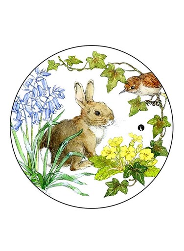 Rabbit Printed Fridge Magnet Round Multicolour