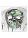 Skull Themed Canvas Wall Painting With Hidden Frame White/Black/Green 50x50cm