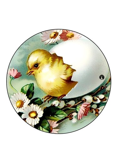 Bird Printed Fridge Magnet Multicolour