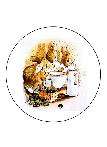 Rabbits Printed Fridge Magnet Multicolour