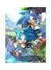 Video Game Sonic Metal Plate Poster Multicolour 15x20centimeter