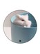 Hamster Printed Fridge Magnet Multicolour