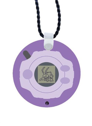 Printed Car Mirror Pendant