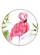 Printed Fridge Magnet White/Pink/Green 5.5cm