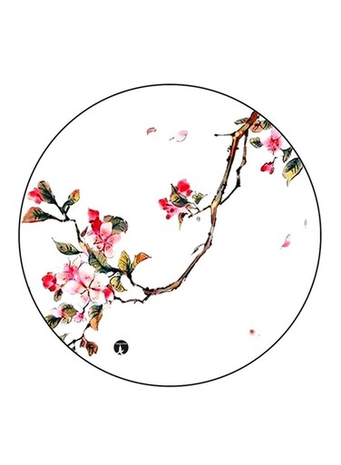 Flowers Printed Fridge Magnet Round Multicolour
