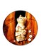 Small Kitten Printed Fridge Magnet Multicolour 5.5 x 5.5cm