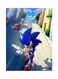 Video Game Sonic Metal Plate Poster Multicolour 15x20centimeter