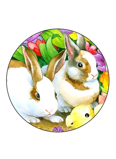 Rabbits Printed Fridge Magnet Multicolour