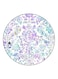 Floral Printed Fridge Magnet Purple/White/Blue 5.5cm