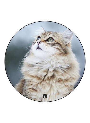 Cat Theme Printed Fridge Magnet Beige/Grey