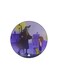 The Anime Jazeerat Al Kanz Printed Fridge Magnet Purple/Red/Black