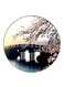 Nature Printed Fridge Magnet Round Multicolour