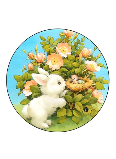 Rabbit Printed Fridge Magnet Round Multicolour