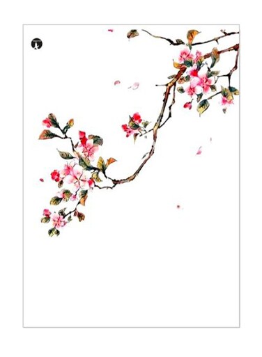 Floral Printed Decorative Plate White/Pink/Green 20x15cm