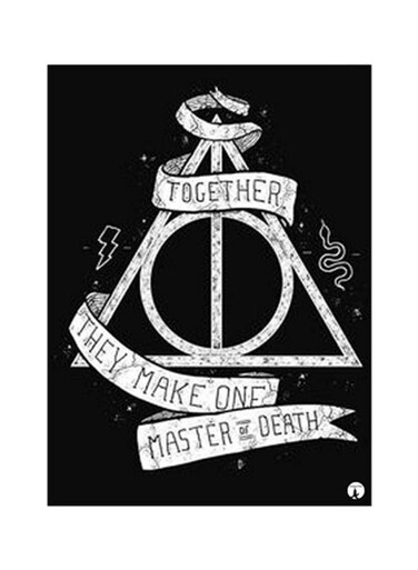 Harry Potter Metal Plate Poster Multicolour 15x20centimeter