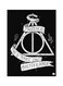 Harry Potter Metal Plate Poster Multicolour 15x20centimeter