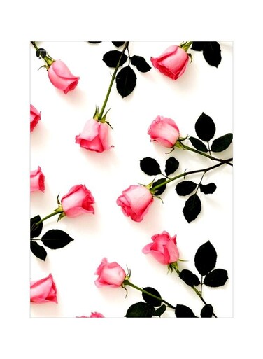 Rose Themed Metallic Plate Pink/White/Green 20x15cm