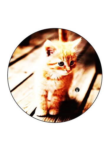 Small Kitten Printed Fridge Magnet Multicolour 5.5 x 5.5cm