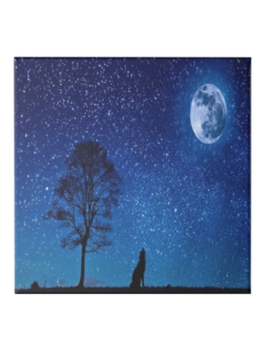 Night View Hidden Frame Canvas Wall Painting Blue/Black/White 50 x 50cm