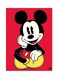 Disney Metal Plate Poster Multicolour 15 x 20cm