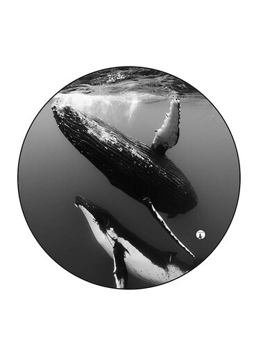 Sea Whale Printed Fridge Magnet Grey/Black/White 5.5 x 5.5cm