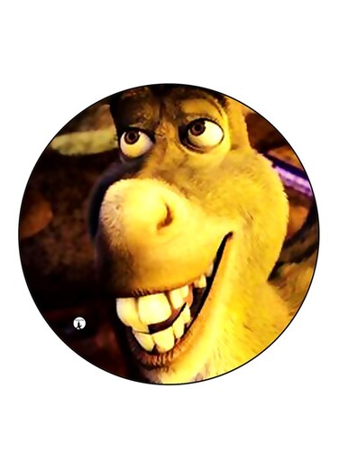 Shrek Printed Fridge Magnet Multicolour