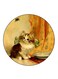 Cat Printed Fridge Magnet Round Multicolour