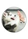 A Dog Printed Fridge Magnet Multicolour