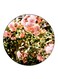 Flowers Printed Fridge Magnet Multicolour