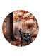 Nature Printed Fridge Magnet Multicolour
