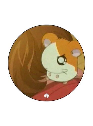The Anime Hamtaro Printed Fridge Magnet Brown/k