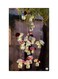 Printed Fridge Magnet Multicolour 8.5x0.4x5.5cm
