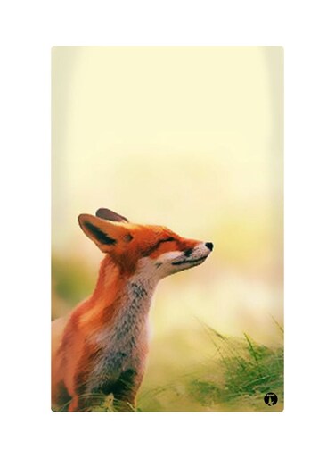 Printed Fridge Magnet Multicolour 8.5x0.4x5.5cm