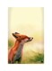Printed Fridge Magnet Multicolour 8.5x0.4x5.5cm