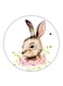 Rabbit Printed Fridge Magnet Multicolour