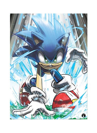 Video Game Sonic Metal Plate Poster Multicolour 15 x 20cm