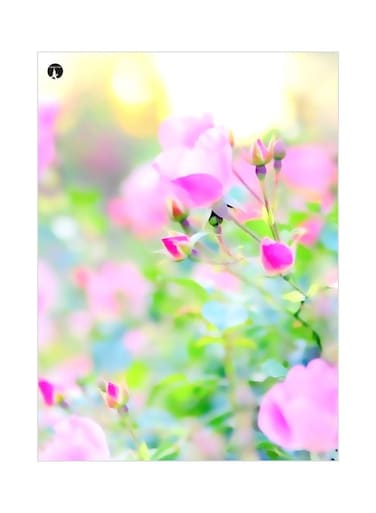 Floral Themed Metallic Plate Green/Purple/Yellow 20x15cm