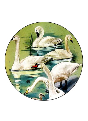 Swans Printed Fridge Magnet Multicolour