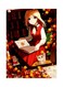 Girl Printed Metallic Plate Red/Yellow/White 20x15cm