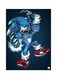 Video Game Sonic Metal Plate Poster Blue/White 15x20cm