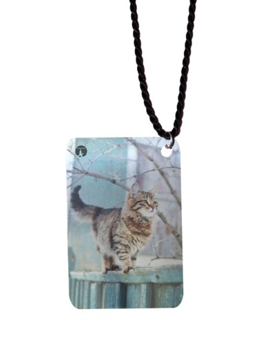 Printed Car Mirror Pendant