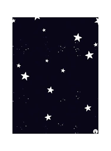 Stars Themed Metallic Plate Black/White 20x15cm
