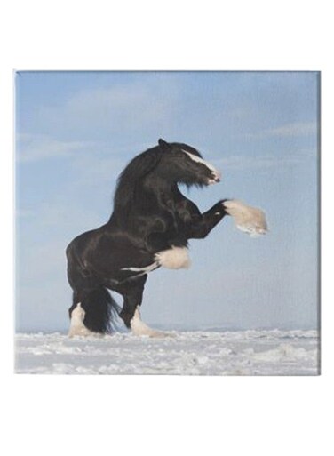 Horse Hidden Frame Canvas Wall Painting Blue/White/Black 50 x 50cm