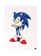 Video Game Sonic Metal Plate Poster Multicolour 15x20centimeter