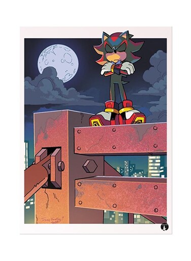 Video Game Sonic Metal Plate Poster Multicolour 15 x 20cm