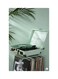 Printed Fridge Magnet Multicolour 8.5x0.4x5.5cm